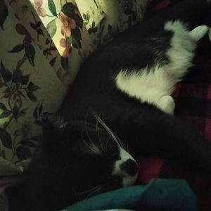 Meet your Posher, Stephen